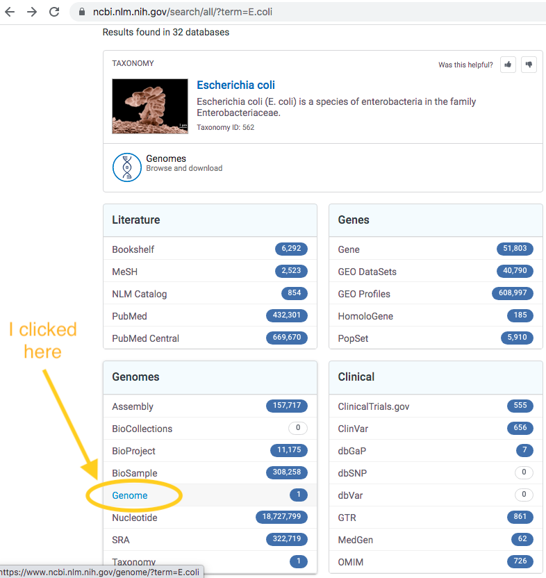 ncbi-search-for-e.coli-genome.png